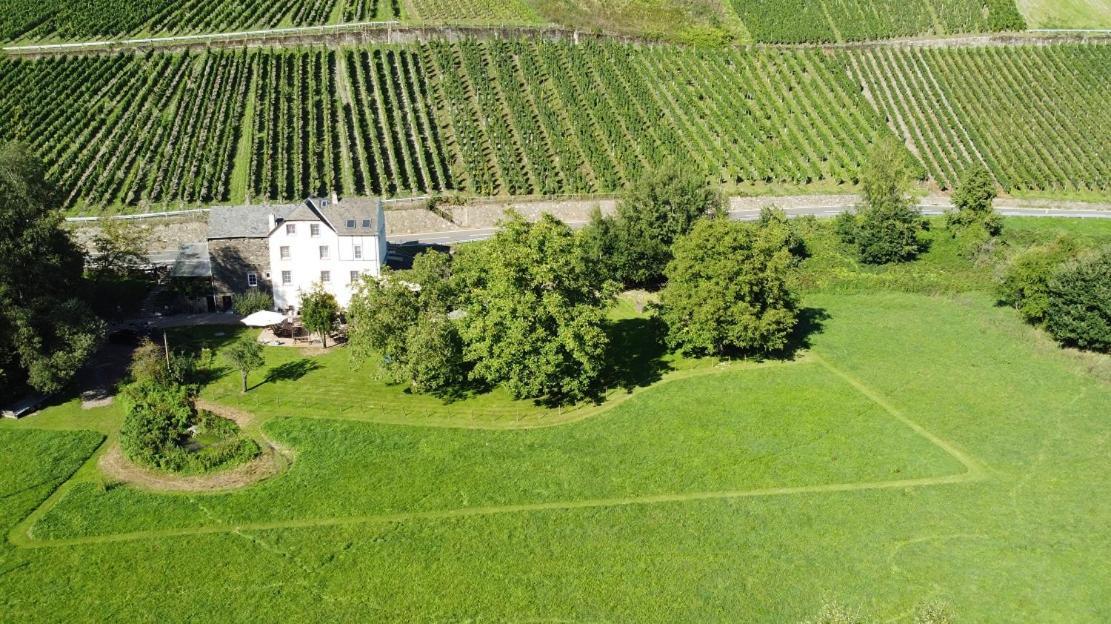 Livi'S Landhaus Neumagen-Dhron Bagian luar foto